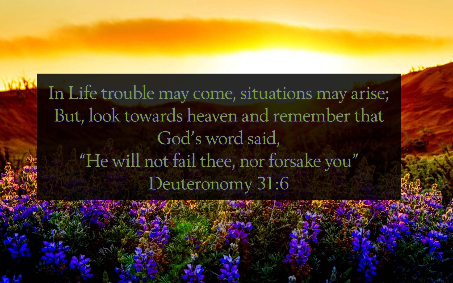 4/18 – Deuteronomy 31:6